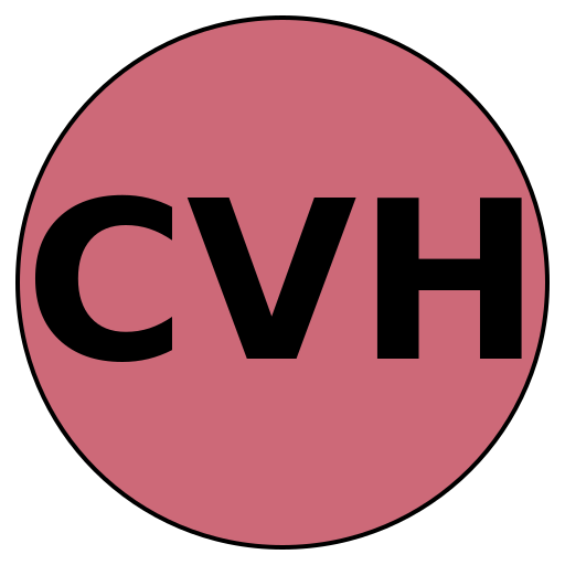 CareerValueHub